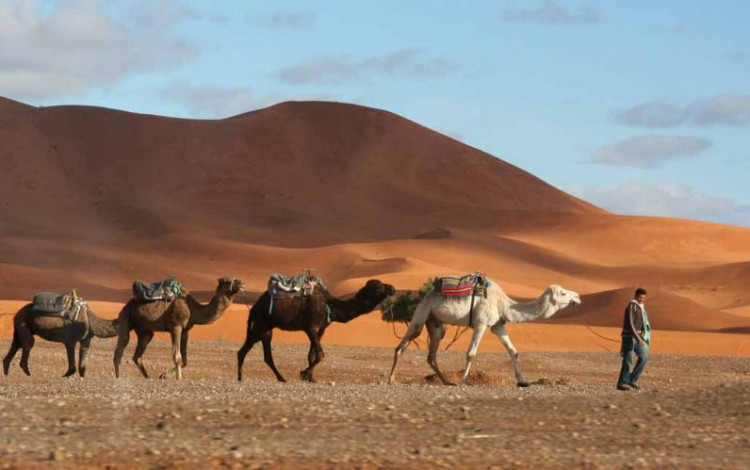 Tutti i bimbi del Marocco