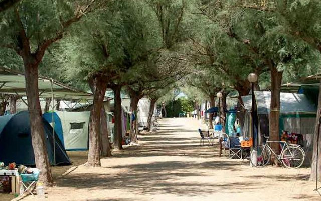 Camping Torre Castiglione