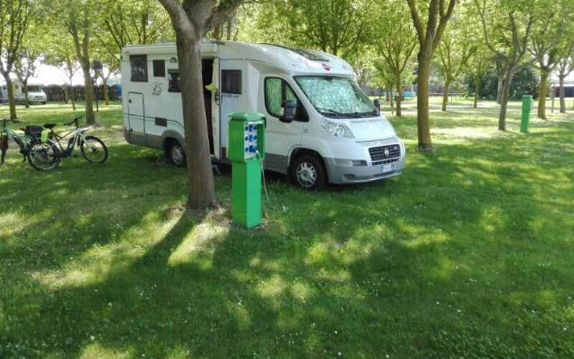 Oasi Park Bosco Mesola