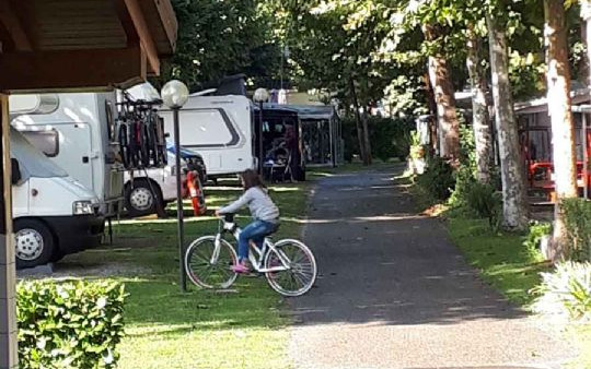 Röse