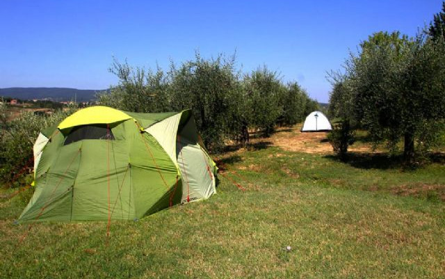 Agriturismo il Sambuco