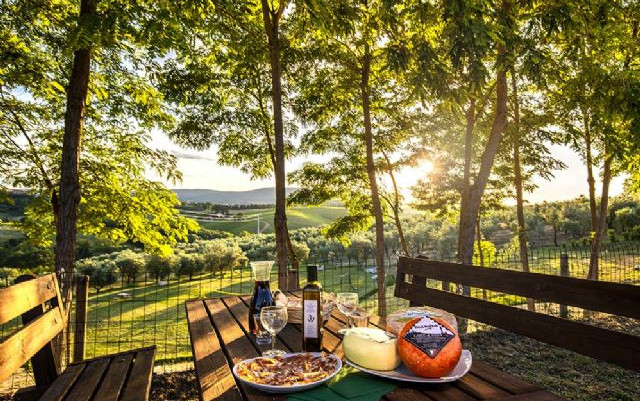 Agriturismo il Sambuco