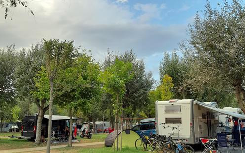 Camping Stork