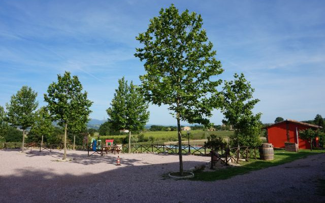 Agriturismo Consalvi Valentina