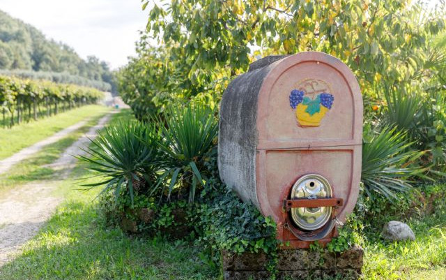 Agriturismo Agricamping Garda Natura