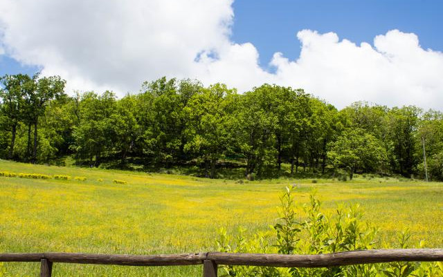 Area camper e campeggio Gioia