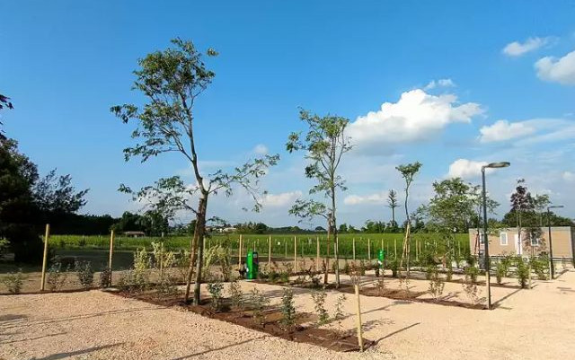 Agricamping Garda di Vino