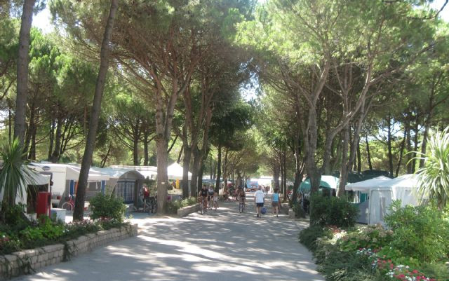 Villaggio Turistico Internazionale