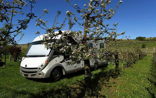 Agricamping La Rosa nel Borgo