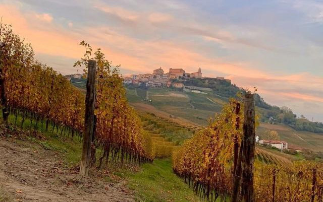 Agricamping La Rosa nel Borgo