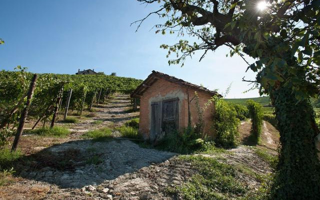Agricamping La Rosa nel Borgo