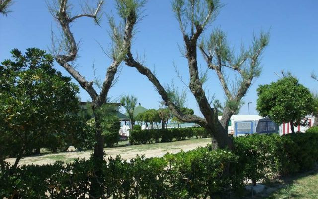 Camping Norina