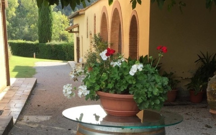 Agriturismo Il Poderino e sosta camper