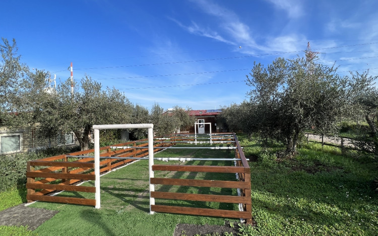 Agricampeggio Paliano