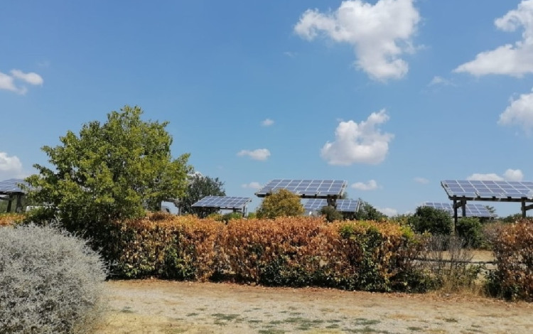 Agricampeggio Paliano