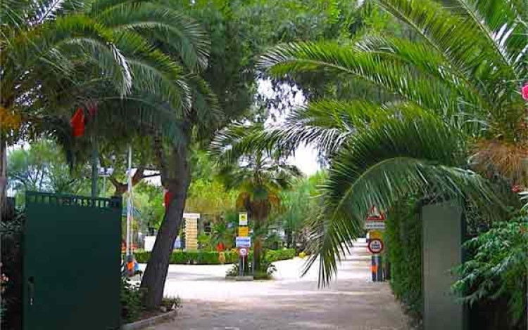Camping Torre Castiglione