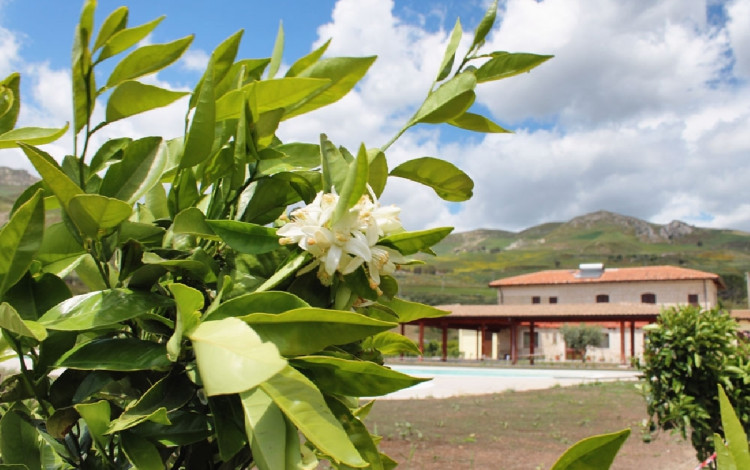 Tenuta Lanza Il Mulino