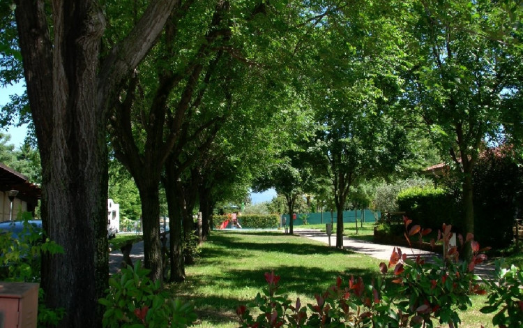 Camping Amici di Lazise