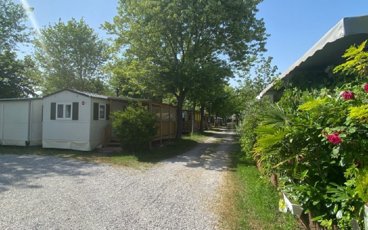 Camping Park Don Bosco e Bosco Pineta
