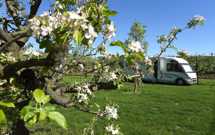 Agricamping La Rosa nel Borgo