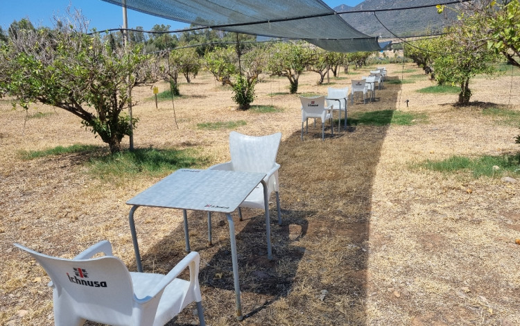 Agricamping Tenuta Naturale