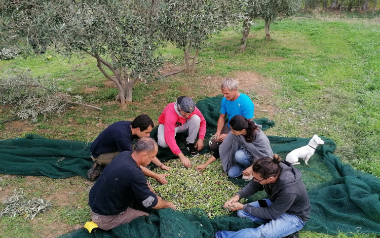 Agricamping Tenuta Naturale