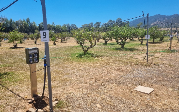 Agricamping Tenuta Naturale