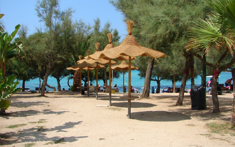 Camping Torre Castiglione
