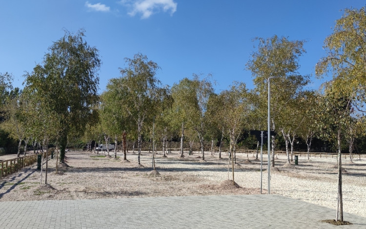 Suprema Sport Village