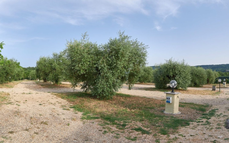 Agrisosta L'Isola degli Ulivi