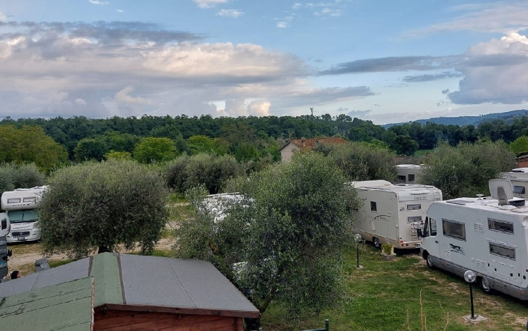 Agrisosta L'Isola degli Ulivi