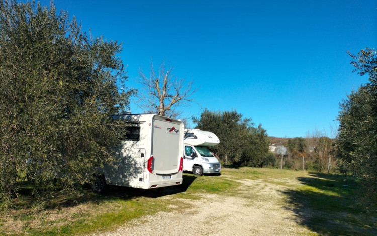 Agrisosta L'Isola degli Ulivi