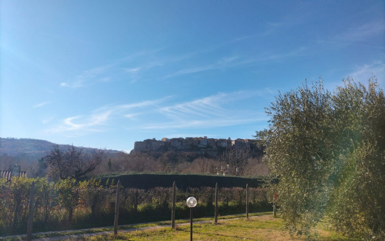 Agrisosta L'Isola degli Ulivi