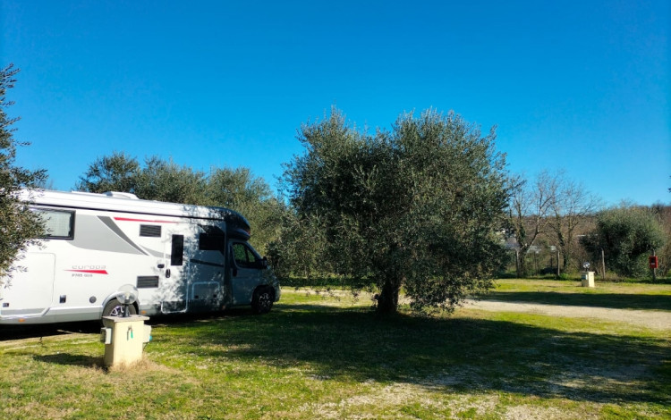 Agrisosta L'Isola degli Ulivi