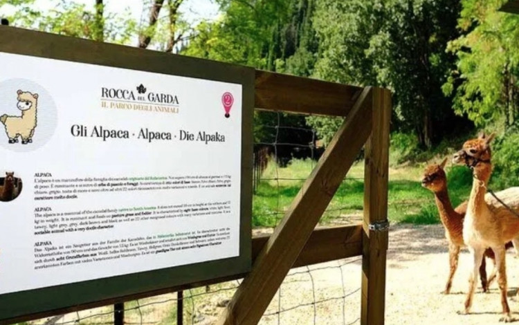 La Rocca Camping Village