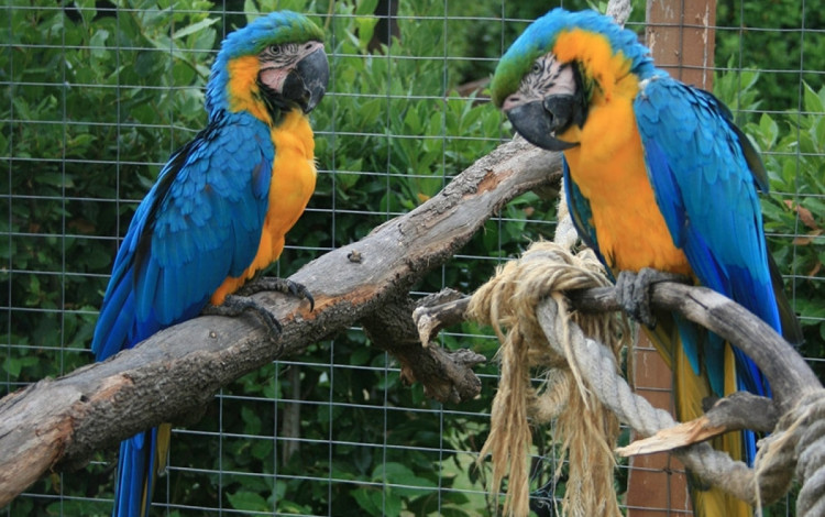Parcheggio Zoo d'Abruzzo