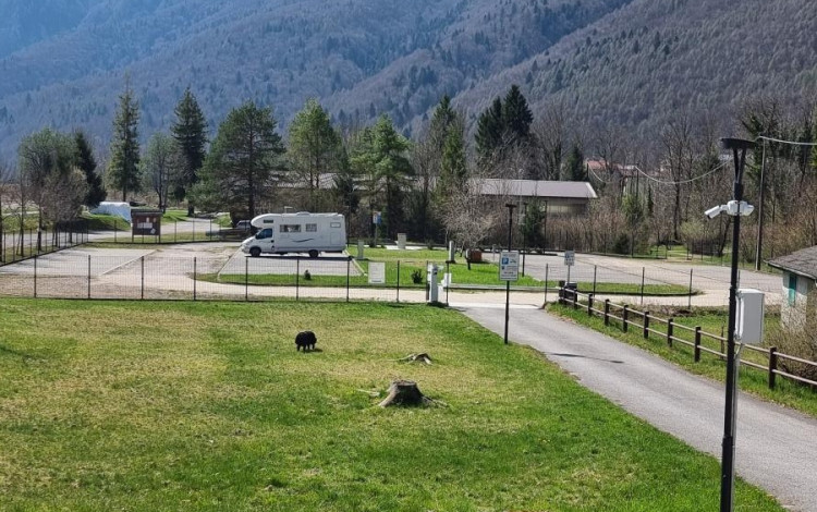 Area sosta camper Cimolais