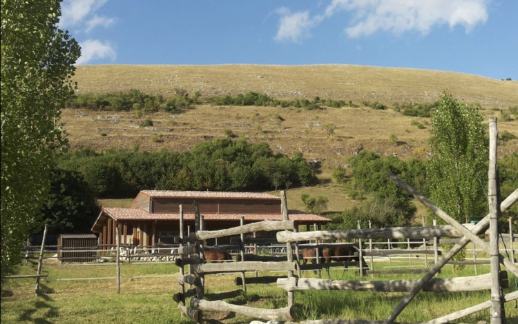 Azienda agricola Rosa Ciarrocca
