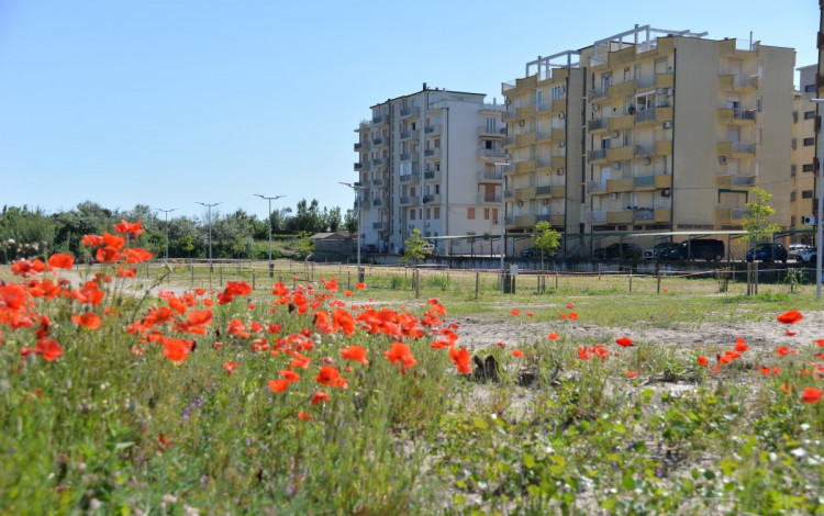 Marina Park - Parcheggio Isola Verde
