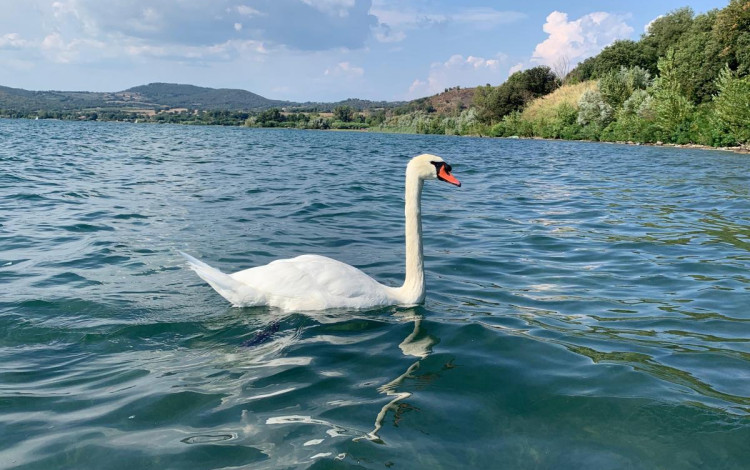 Parco del Lago Glamping and Lodges