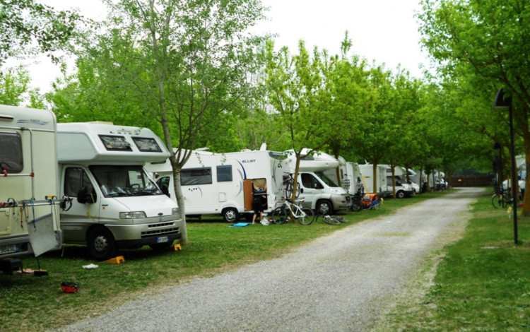 Oasi Park Bosco Mesola