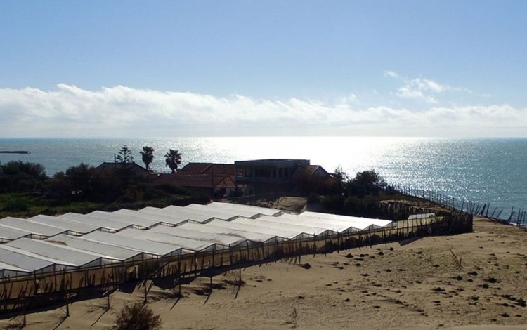 Agricampeggio Capo Scalambri