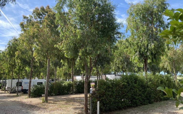 Sosta Camping Torre di Bar&igrave; Sardo