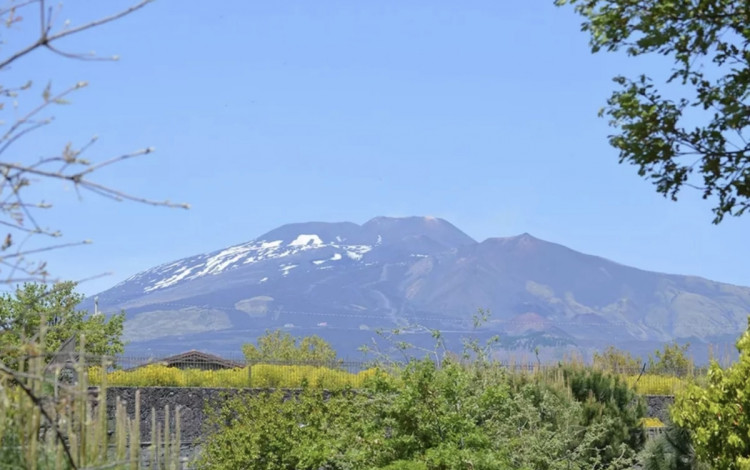 Mons Gibel Camping Park 