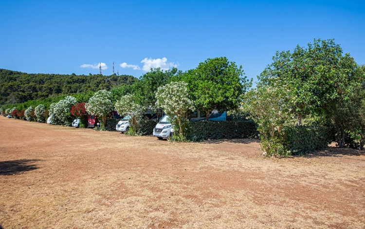 Paradise Park